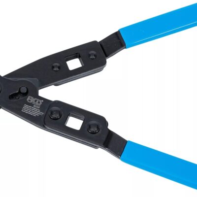 Cleste pentru coliere de planetara , BGS 8359
