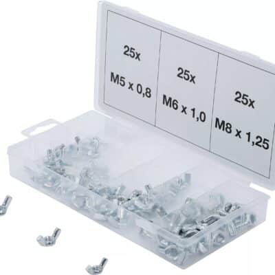 Set de piulite tip fluture,75 piese, BGS 8133