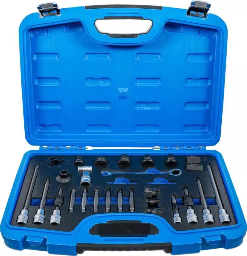 Set demontat fulii alternator