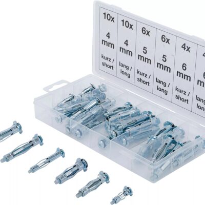 Sortiment de suruburi tip Molly, 40 bucati, BGS 8139