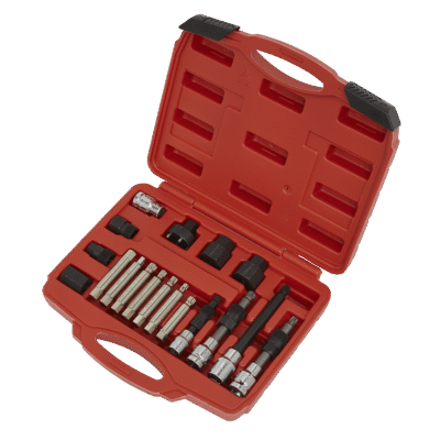 Set chei alternator 18 piese profesional Sealey