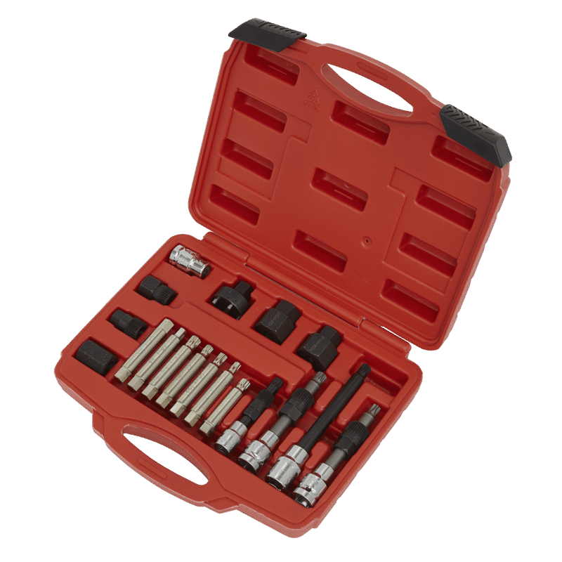 Set chei alternator 18 piese profesional Sealey Set chei alternator 18 piese profesional Sealey
