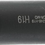 Bit de impact Imbus 19 mm, lungime 100mm, antrenare hexagon 22mm, BGS 5246-H19 - SimpleTools