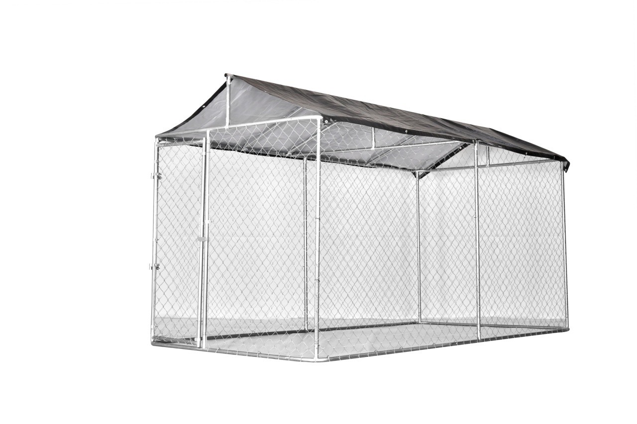Cusca (padoc, tarc exterior) caini MF 4x2x2,2m CA G01 – In lucru Cusca (padoc, tarc exterior) caini MF 4x2x2,2m CA G01 - In lucru