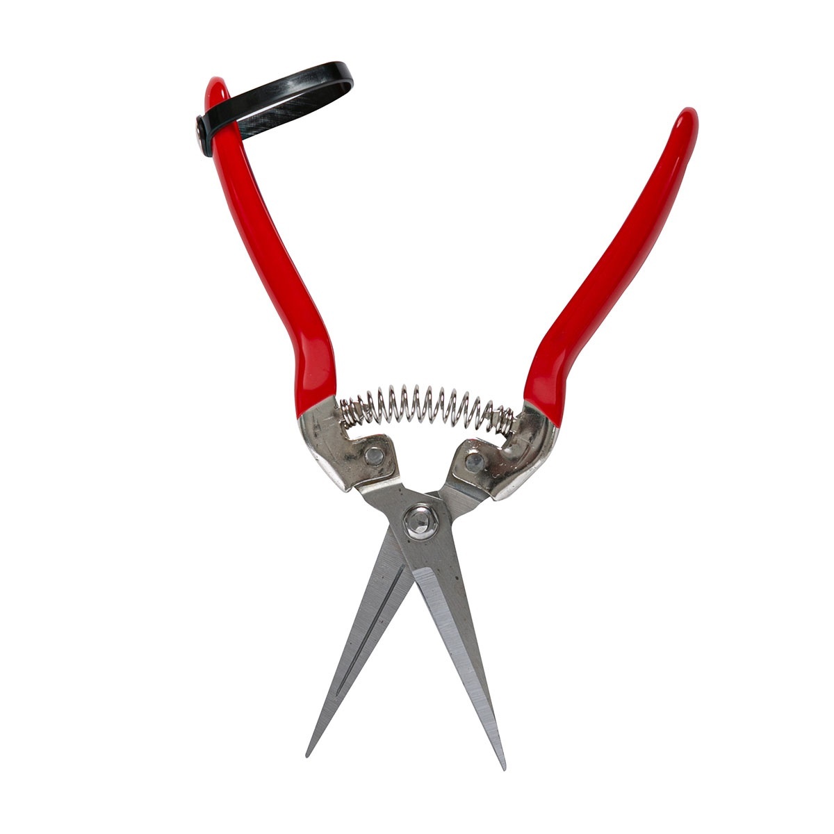 Foarfeca pentru recoltat Micul Fermier, 70mm, dreapta – In lucru Foarfeca pentru recoltat Micul Fermier, 70mm, dreapta - In lucru