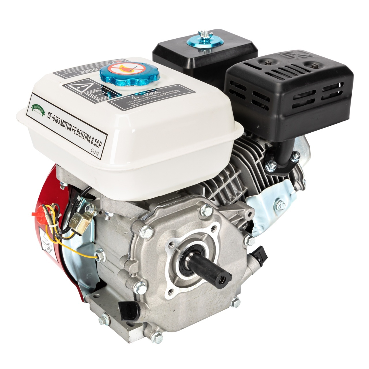 Motor pe benzina 6, 5HP – Motoare Motor pe benzina 6, 5HP - Motoare
