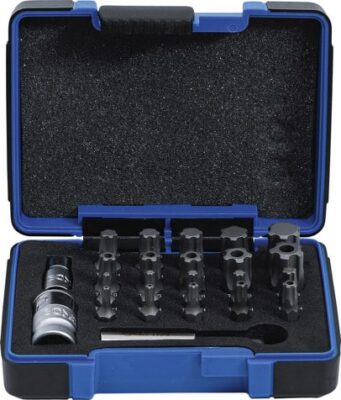 Set biţi Torx PlusTP10H - TP40H / TPS10 - TPS40, 23 piese, BGS 4993