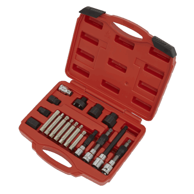 Set chei alternator 18 piese profesional Sealey