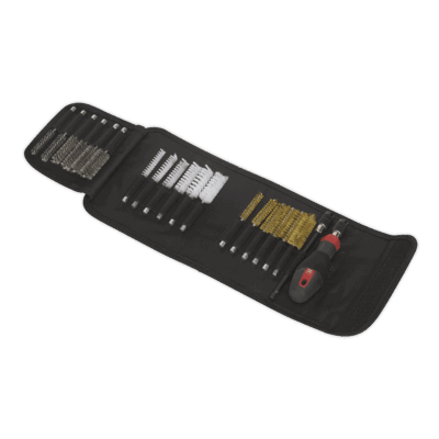 Set perii curatare, 20 piese, Sealey