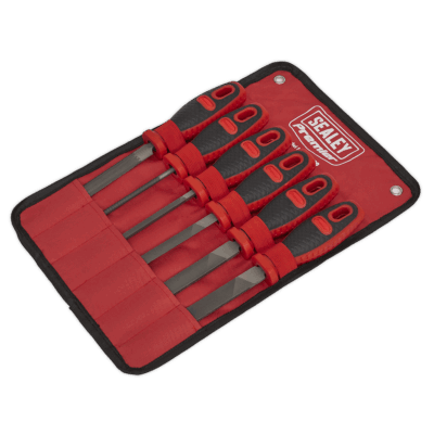 Set pile, 6 piese, Sealey - Ciocane/Perii si Pile