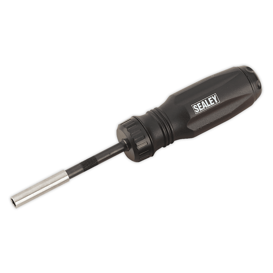 Set surubelnita cu clichet si biti, 34 piese – Surubelnite/Torx-uri si Inbusuri Set surubelnita cu clichet si biti, 34 piese - Surubelnite/Torx-uri si Inbusuri