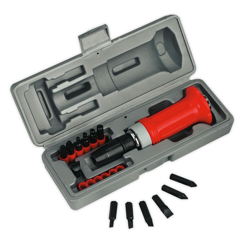 Set surubelnite de impact, 15 piese – Surubelnite/Torx-uri si Inbusuri Set surubelnite de impact, 15 piese - Surubelnite/Torx-uri si Inbusuri