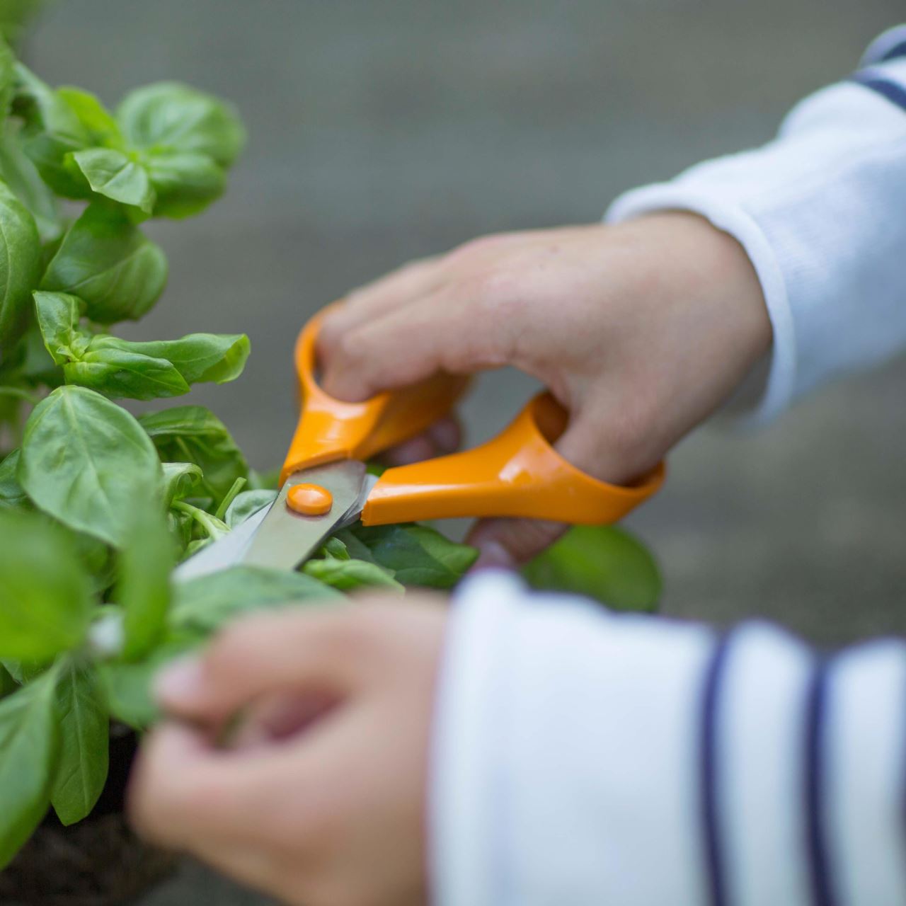 Foarfeca uz general pentru Fiskars Classic, 21 cm - imagine 18